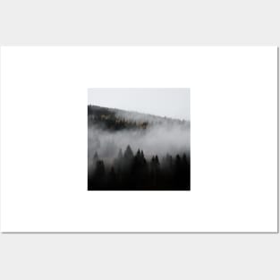 Misty European Forest After Rain Posters and Art